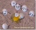 /album/fotogaleria/huevos-gestos-jpg1/